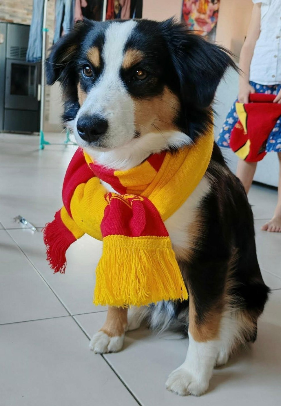 Que sont t'ils devenus... Prunelle